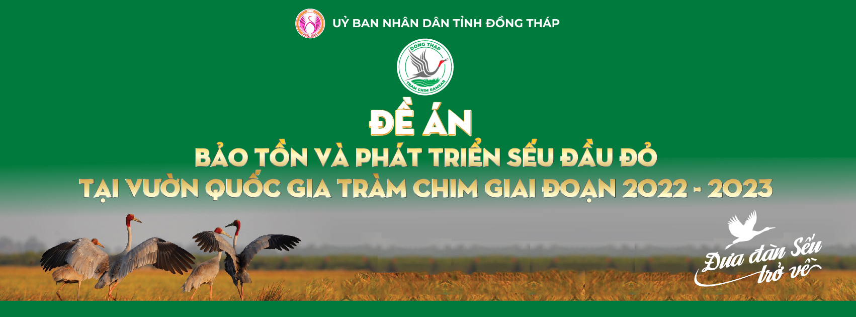 Anh De an Seu