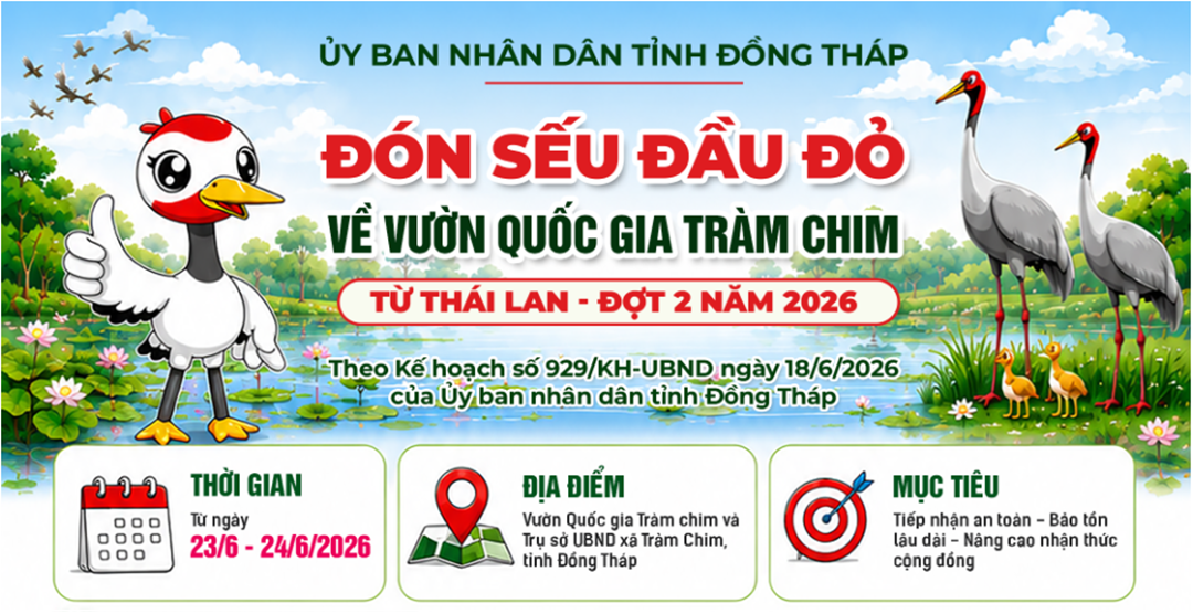 [Infographic] Hành động thiết thực để cùng chung tay “Đưa đàn Sếu trở về”