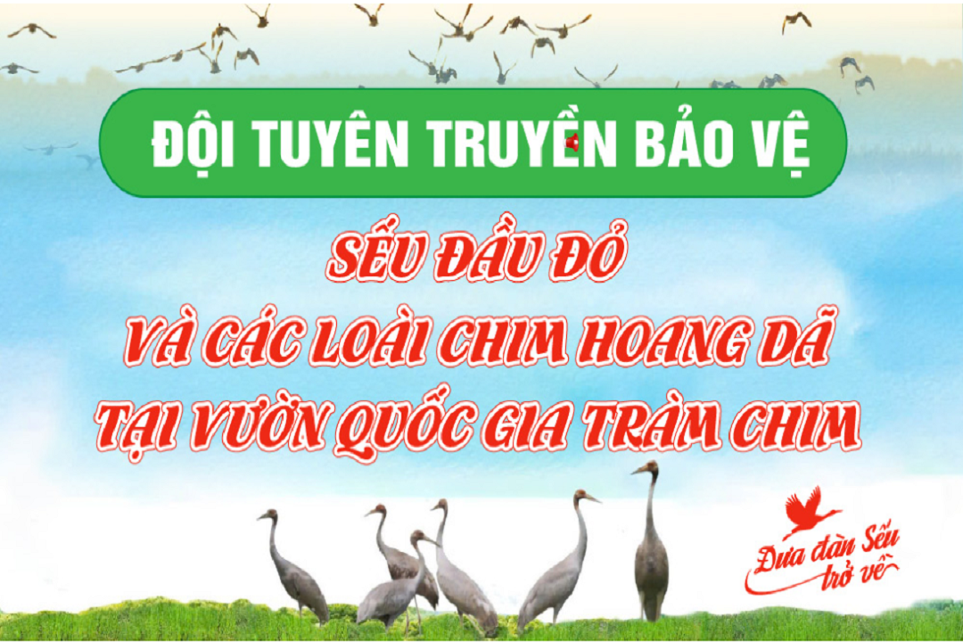 Đội Tuyên truyền Bảo vệ Sếu đầu đỏ và các loài chim hoang dã