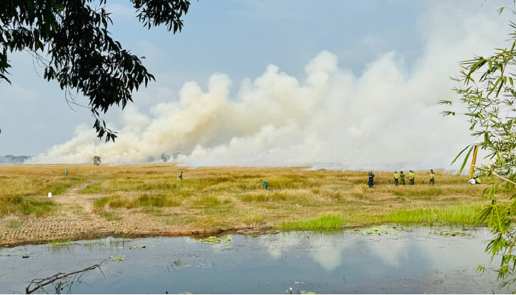 Controlled burn on Zone A1, Tram Chim National Park