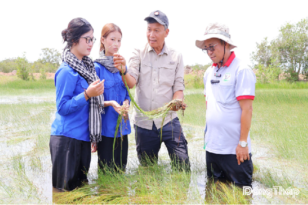 Hệ sinh thái Tràm Chim đang phục hồi mãnh liệt