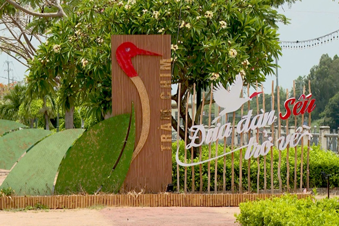 Người dân Tam Nông háo hức chờ đón Sếu đầu đỏ trở về