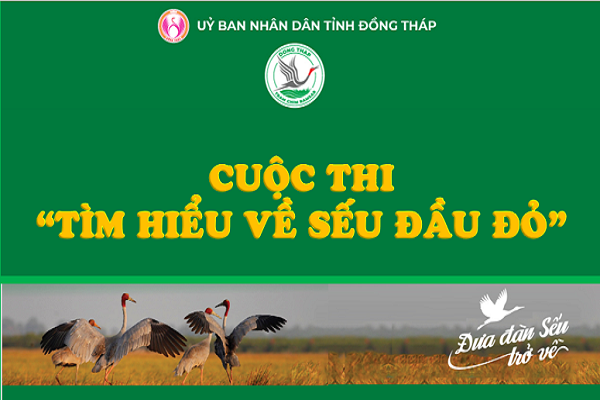 Tổ chức cuộc thi “Tìm hiểu về Sếu đầu đỏ” trên ứng dụng e-DongThap