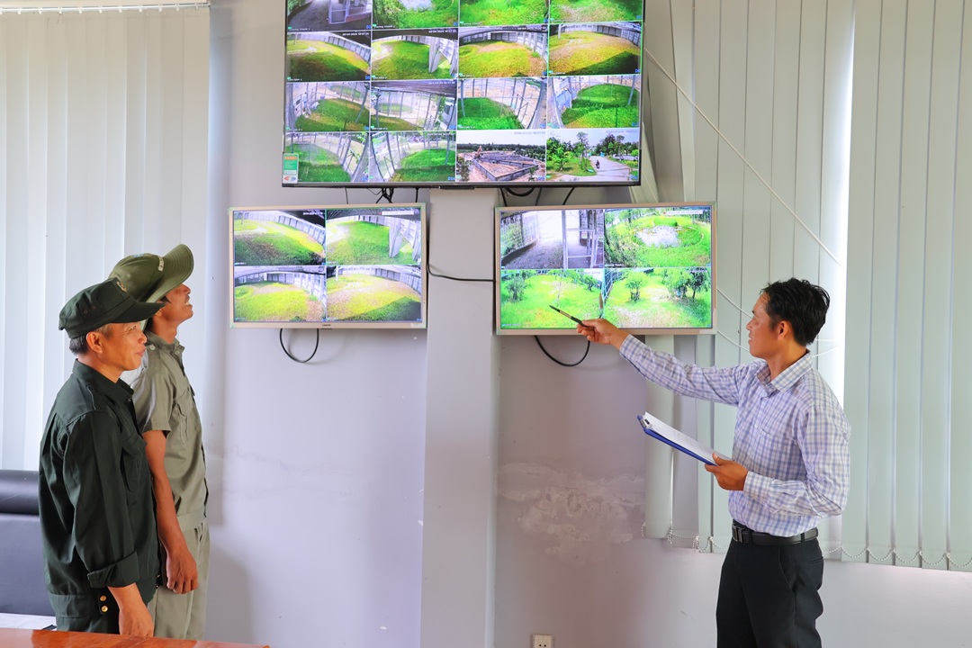 Vườn Quốc gia Tràm Chim sẵn sàng đón sếu đầu đỏ từ Thái Lan về Đồng Tháp