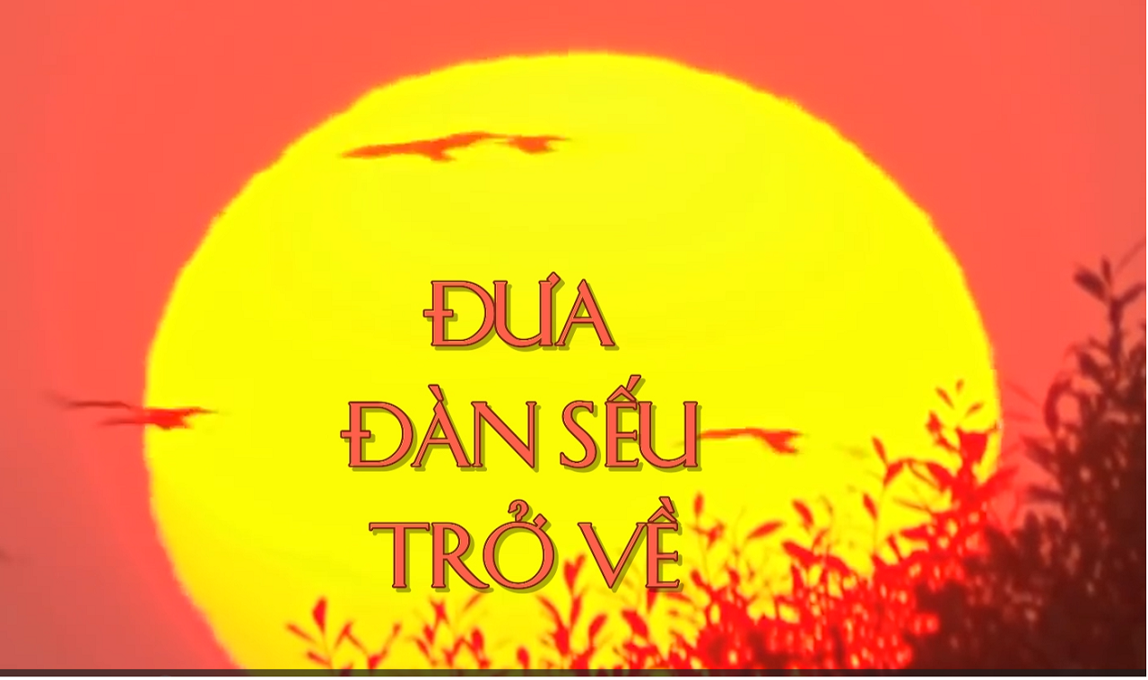 ĐƯA ĐÀN SẾU TRỞ VỀ