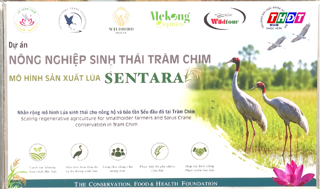 Tràm Chim lan tỏa mô hình lúa sinh thái, giảm phát thải