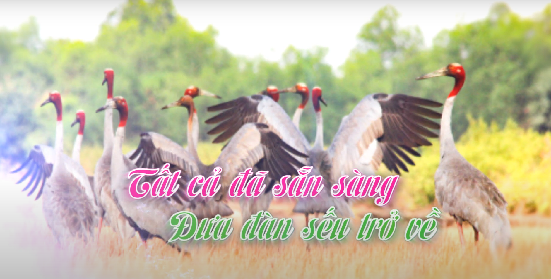 Sẵn sàng 